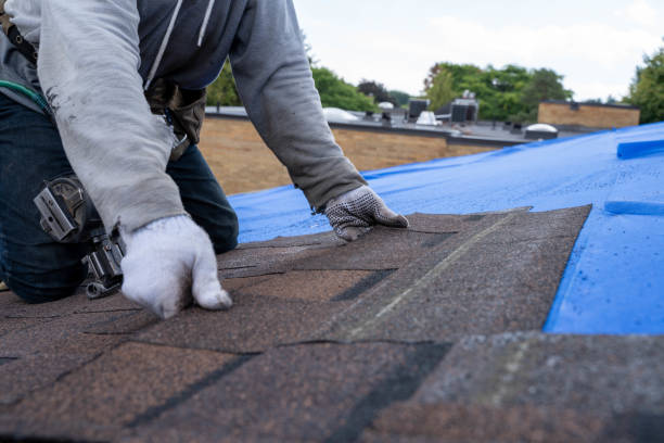 Best Flat Roof Repair Services  in Conway Springs, KS